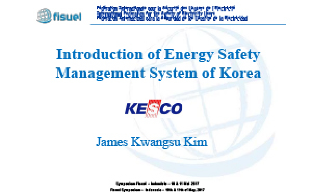Introduction of Energy Safety Management System of Korea