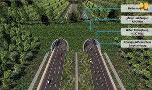 Terowongan Perlintasan Satwa di Tol Akses IKN, Wujudkan Komitmen Keberlanjutan