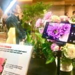 Ponsel Canggih Sharp Masuk Indonesia, Tawarkan Fitur Kamera Leica dan Bonus TV