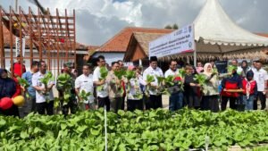 PT Solusi Bangun Indonesia Raih Dua PROPER Emas, Bukti Konsistensi Keberlanjutan