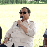 Viral di IKN, Presiden Prabowo Kini Basmi Tikus dengan 1.000 Burung Hantu di Majalengka