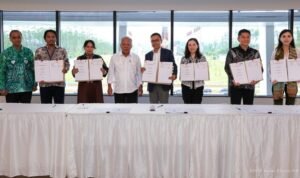Enam Investor Baru Tanam Rp 3,65 Triliun di IKN, Siap Bangun Hotel hingga Sekolah Internasional