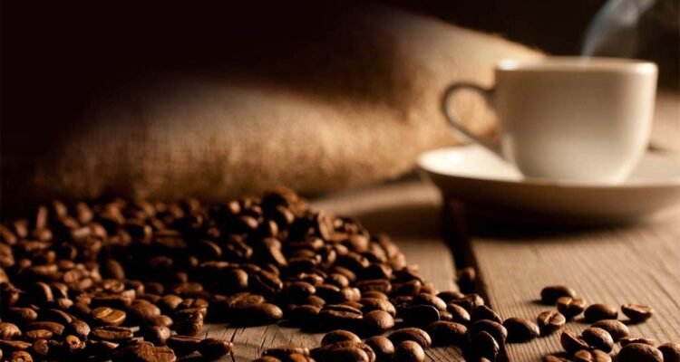 COFFEEING AND TRAVELING - Property and The City