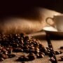 COFFEEING AND TRAVELING - Property and The City