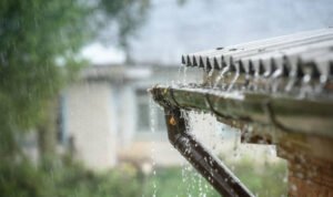 Jangan Abaikan! Ini 5 Hal yang Wajib Dicek di Rumah Saat Musim Hujan