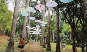 6 Taman di Jakarta Bakal Dibuka 24 Jam, Ada Penampilan Seniman Budayawan