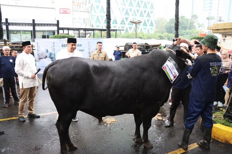 idul-adha-menteri-ara-kurban-sapi-jenis-grandong-untuk-pegawai-penghuni-rusun_268482.jpeg