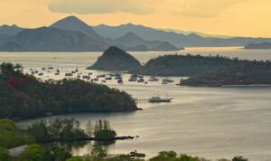 Notes From Paradise, LABUAN BAJO
