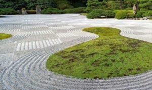 ROCK GARDEN - Property and The City