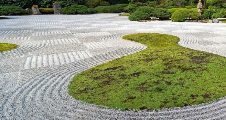 ROCK GARDEN - Property and The City