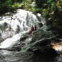 Menembus Keheningan Belantara Delang - Property and The City