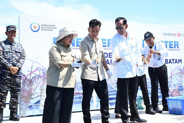 dorong-ekonomi-biru-wapres-gibran-panen-perdana-lobster-di-bpbl-batam_280758.jpg