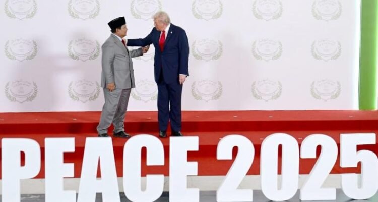 survei-setahun-pemerintahan-prabowo-ekonomi-stabil-diplomasi-global-semakin-aktif_286652.jpg