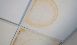 Plafon Kuning dan Lembap Saat Musim Hujan? Jangan Panik, Ini Plafon Kuning dan Lembap Saat Musim Hujan? Jangan Panik, Ini Tips Mengatasinya