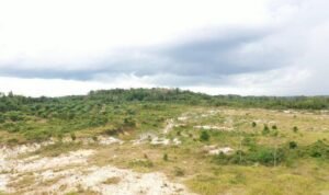 Tanah Negara Bakal Dibagikan ke 1 Juta Warga Miskin Ekstrem, Ini Kata Pemerintah