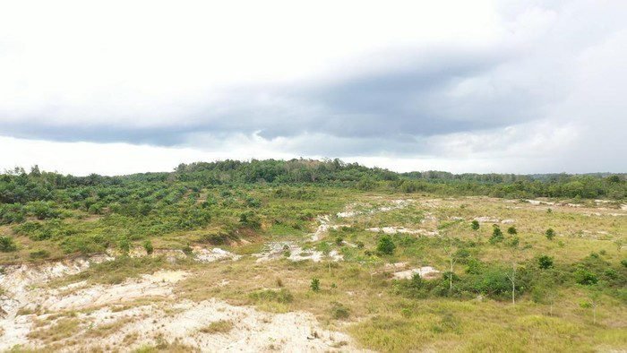 Tanah Negara Bakal Dibagikan ke 1 Juta Warga Miskin Ekstrem, Ini Kata Pemerintah